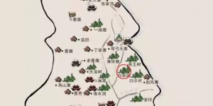 易武白茶园——白茶古树