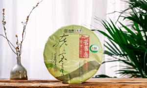 中茶苦凉 | 干仓陈化，汤厚味苦