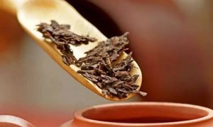 您的茶存“废”了吗？存茶方法与技巧，把香留住！