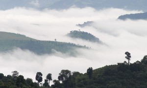 不知道这个？还敢说你懂普洱茶吗？