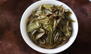 景洪小勐宋单株古树茶口感特点