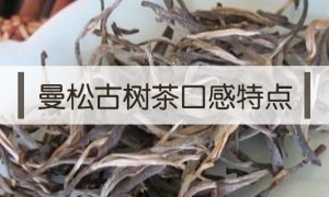 2020年曼松古树茶特点